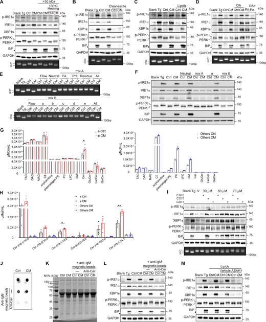 Figure 2. Refer to the image caption for details.