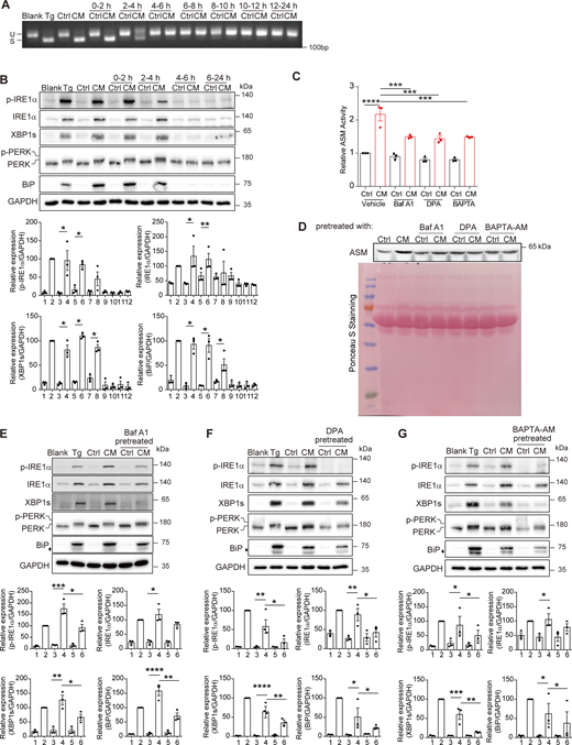 Figure 4. Refer to the image caption for details.