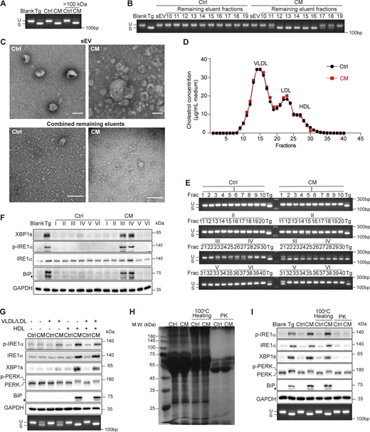 Figure 5. Refer to the image caption for details.