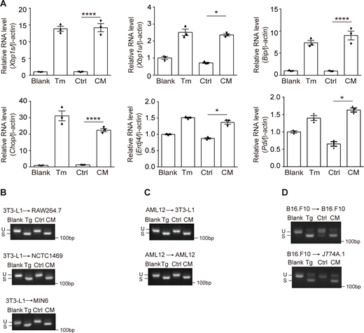 Figure S1. Refer to the image caption for details.