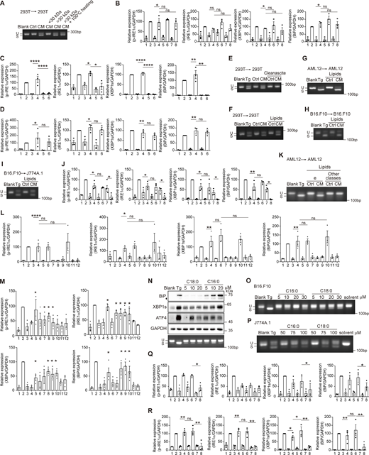 Figure S2. Refer to the image caption for details.