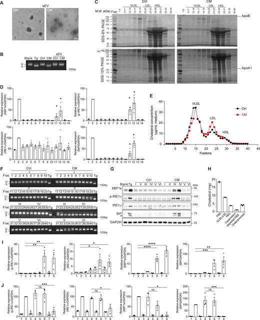 Figure S3. Refer to the image caption for details.