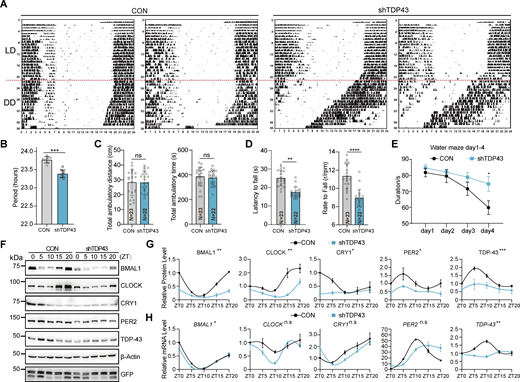 Figure 3. Refer to the image caption for details.