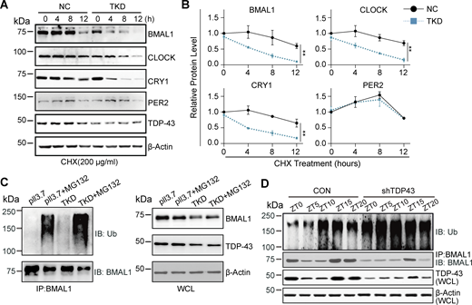 Figure 4. Refer to the image caption for details.