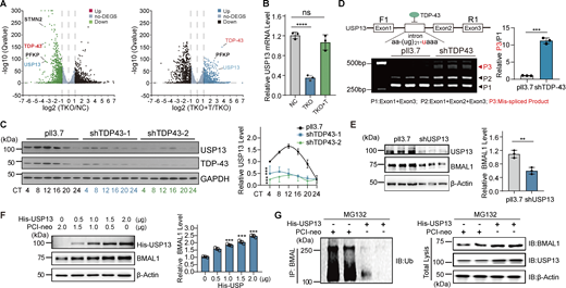Figure 5. Refer to the image caption for details.