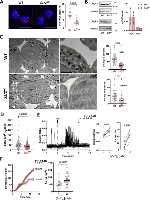 Figure 6. Refer to the image caption for details.
