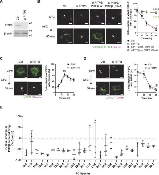 Figure 2. Refer to the image caption for details.