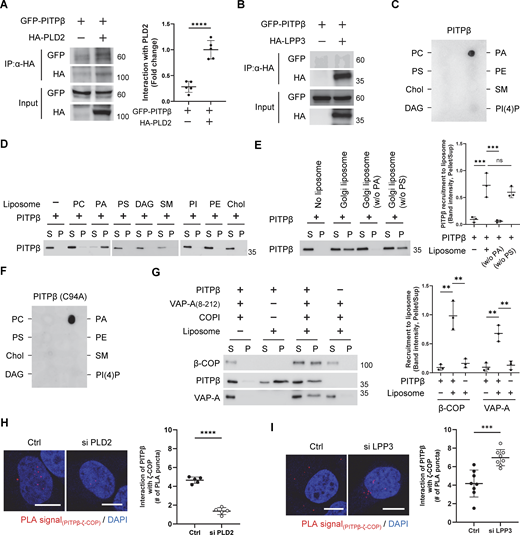 Figure 5. Refer to the image caption for details.