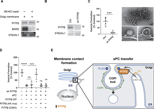Figure 7. Refer to the image caption for details.