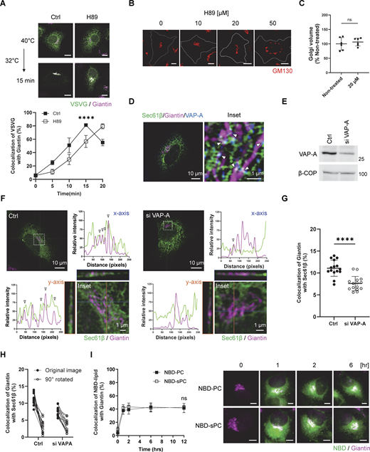 Figure S1. Refer to the image caption for details.