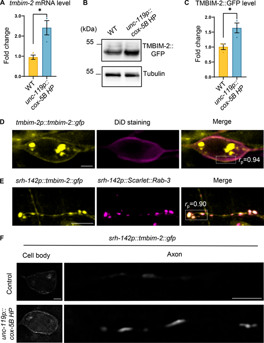 Figure 2. Refer to the image caption for details.