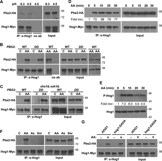 Figure 2. Refer to the image caption for details.