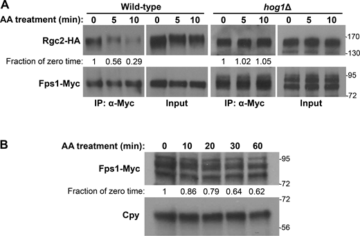 Figure 7. Refer to the image caption for details.