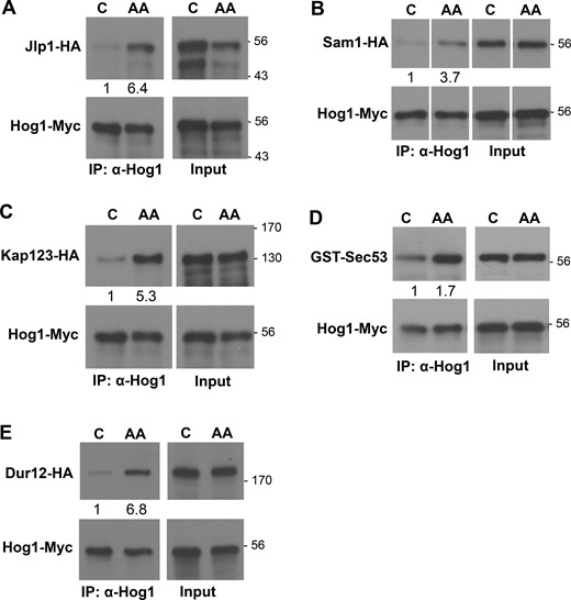 Figure S1. Refer to the image caption for details.