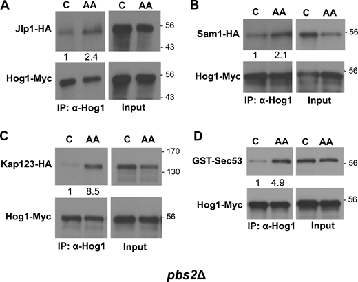 Figure S2. Refer to the image caption for details.