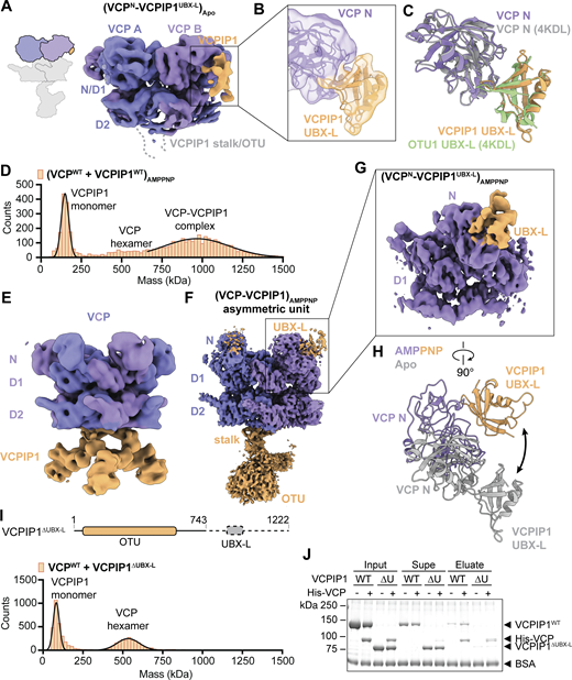 Figure 3. Refer to the image caption for details.