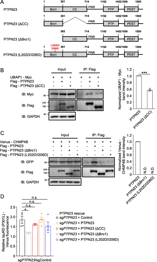 Figure 5. Refer to the image caption for details.