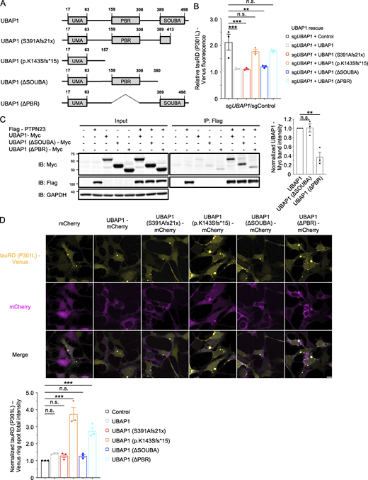 Figure 6. Refer to the image caption for details.