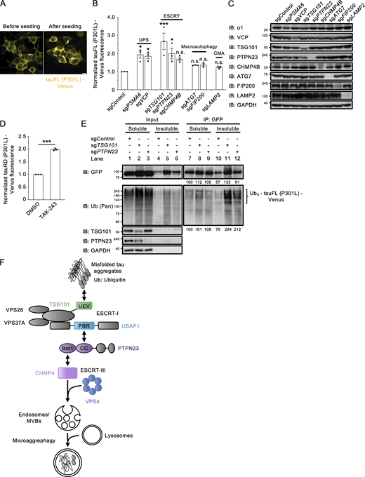 Figure 7. Refer to the image caption for details.