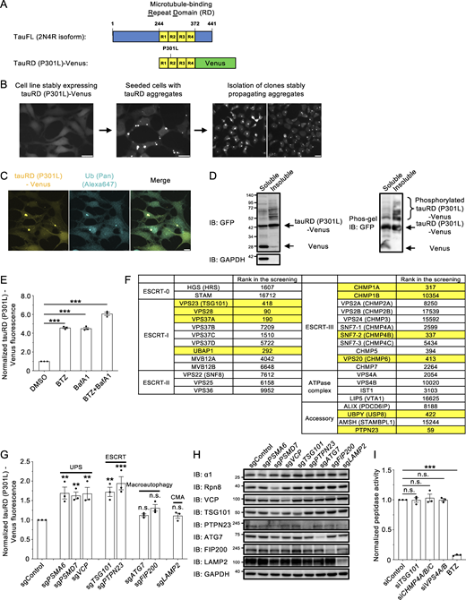 Figure S1. Refer to the image caption for details.