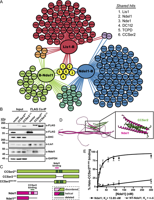 Figure 1. Refer to the image caption for details.