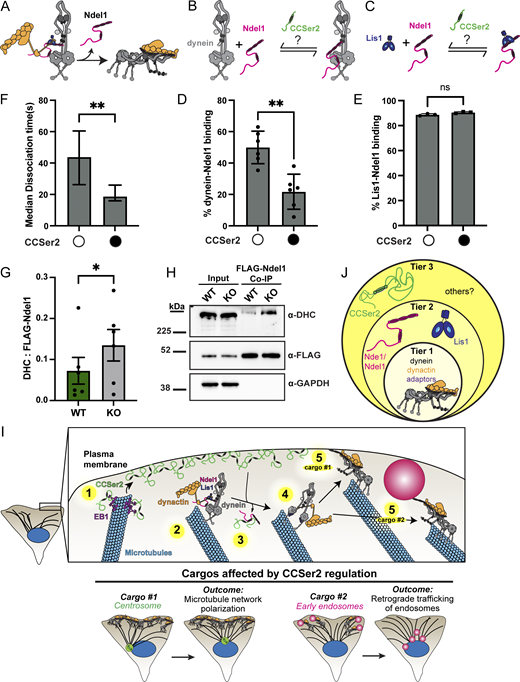 Figure 6. Refer to the image caption for details.