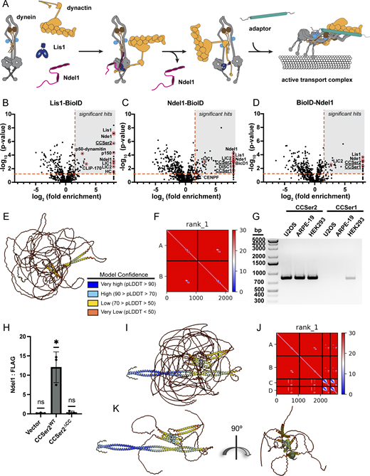 Figure S1. Refer to the image caption for details.