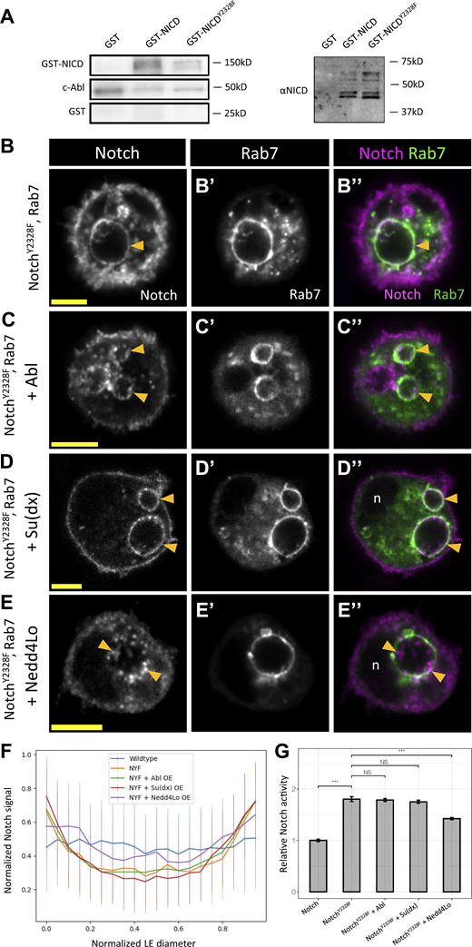 Figure 6. Refer to the image caption for details.