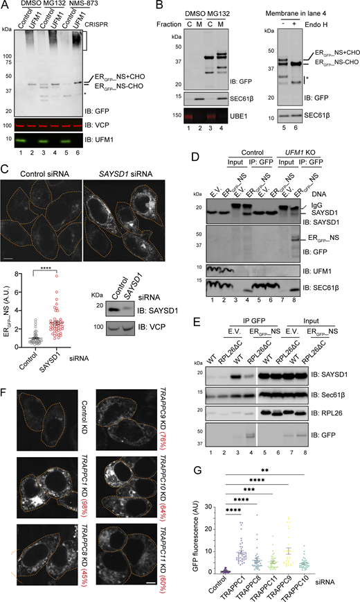Figure 2. Refer to the image caption for details.