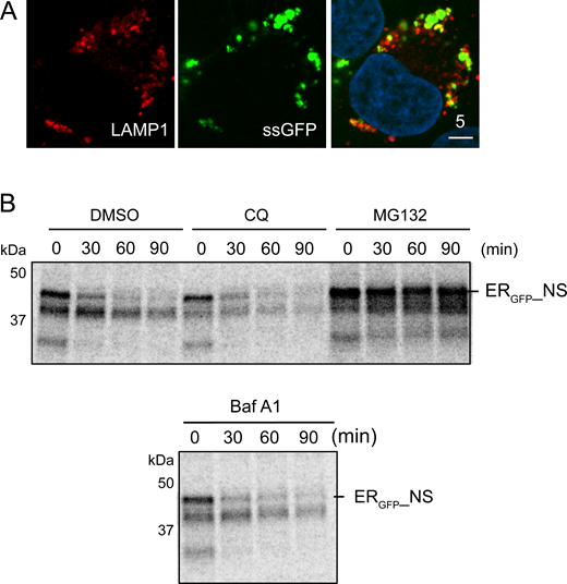 Figure S1. Refer to the image caption for details.