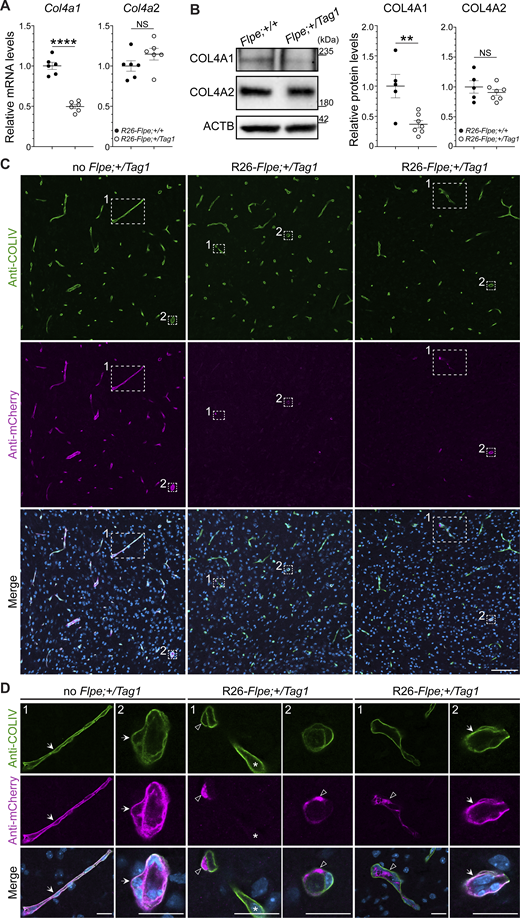 Figure S2. Refer to the image caption for details.