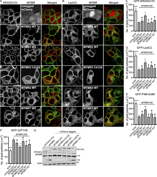 Figure 5. Refer to the image caption for details.