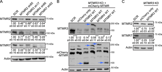 Figure 6. Refer to the image caption for details.