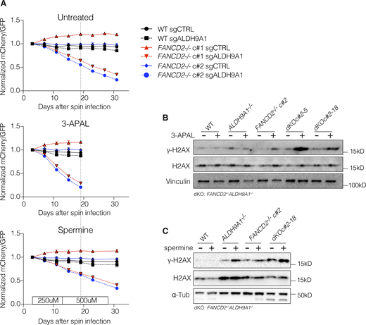 Figure 6. Refer to the image caption for details.