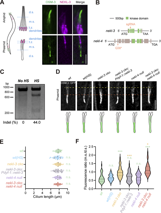Figure 2. Refer to the image caption for details.