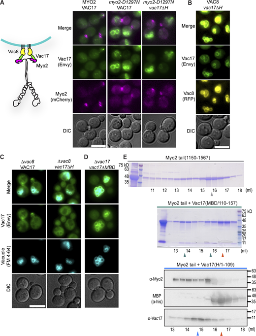 Figure S1. Refer to the image caption for details.