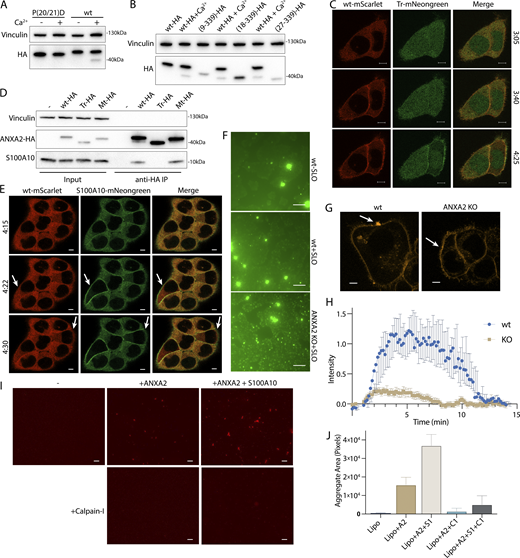 Figure 5. Refer to the image caption for details.