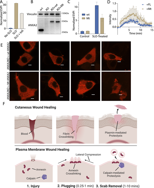 Figure 6. Refer to the image caption for details.