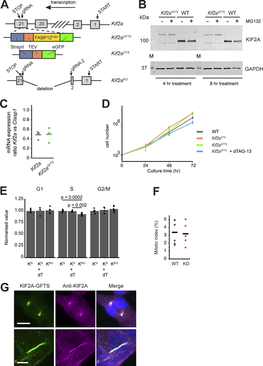 Figure S1. Refer to the image caption for details.