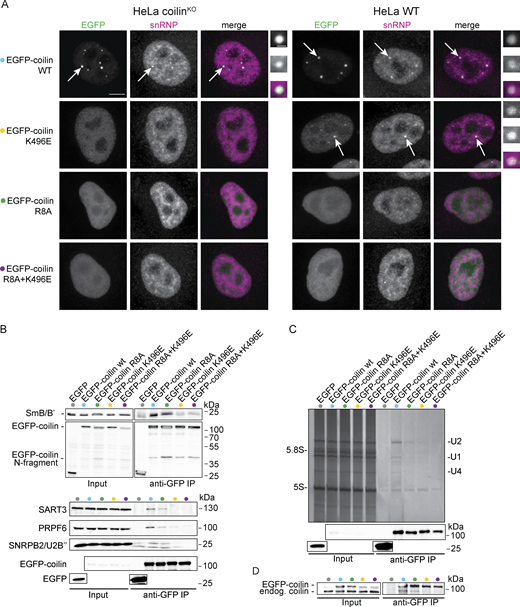 Figure 6. Refer to the image caption for details.