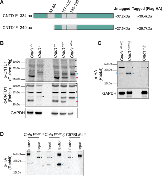 Figure 2. Refer to the image caption for details.