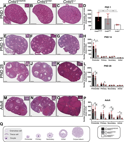 Figure 3. Refer to the image caption for details.