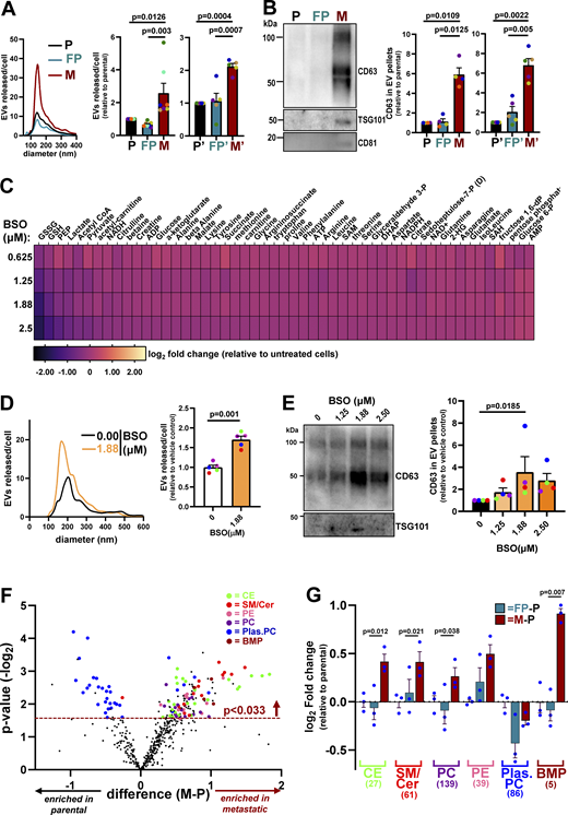 Figure 5. Refer to the image caption for details.
