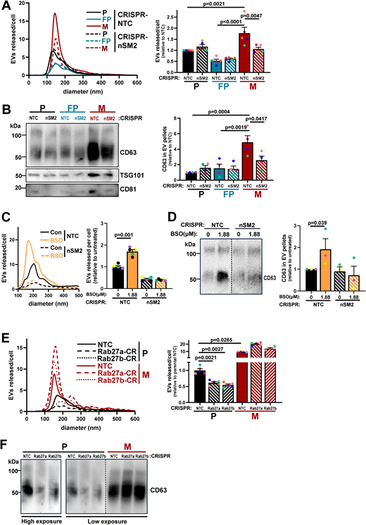 Figure 7. Refer to the image caption for details.