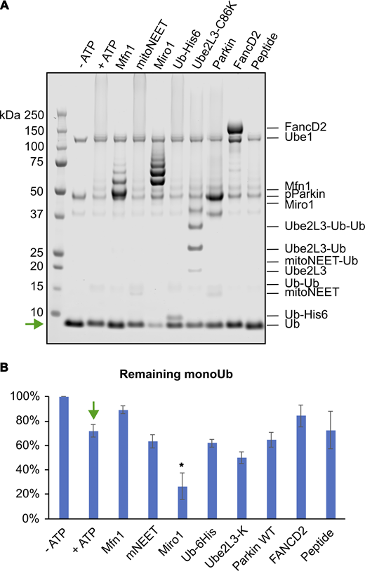 Figure 3. Refer to the image caption for details.