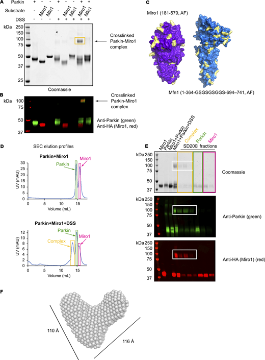 Figure 4. Refer to the image caption for details.