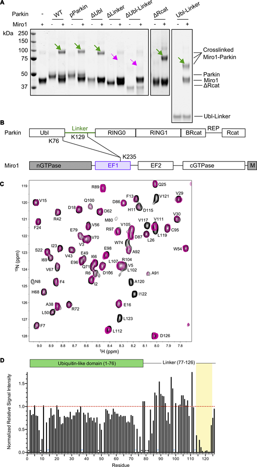 Figure 5. Refer to the image caption for details.