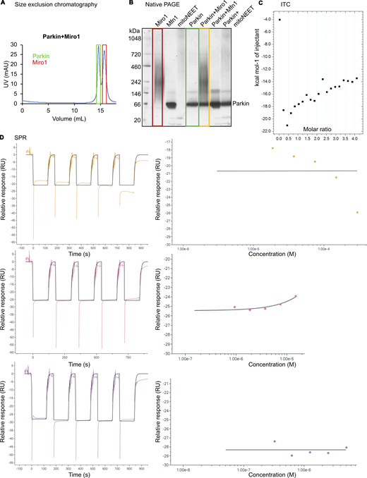 Figure S2. Refer to the image caption for details.