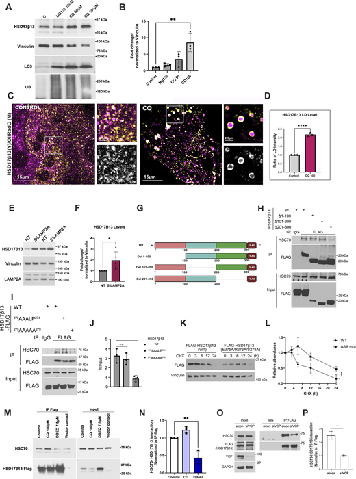 Figure 4. Refer to the image caption for details.