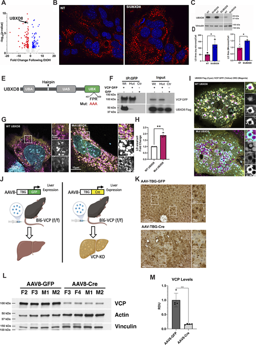 Figure S1. Refer to the image caption for details.